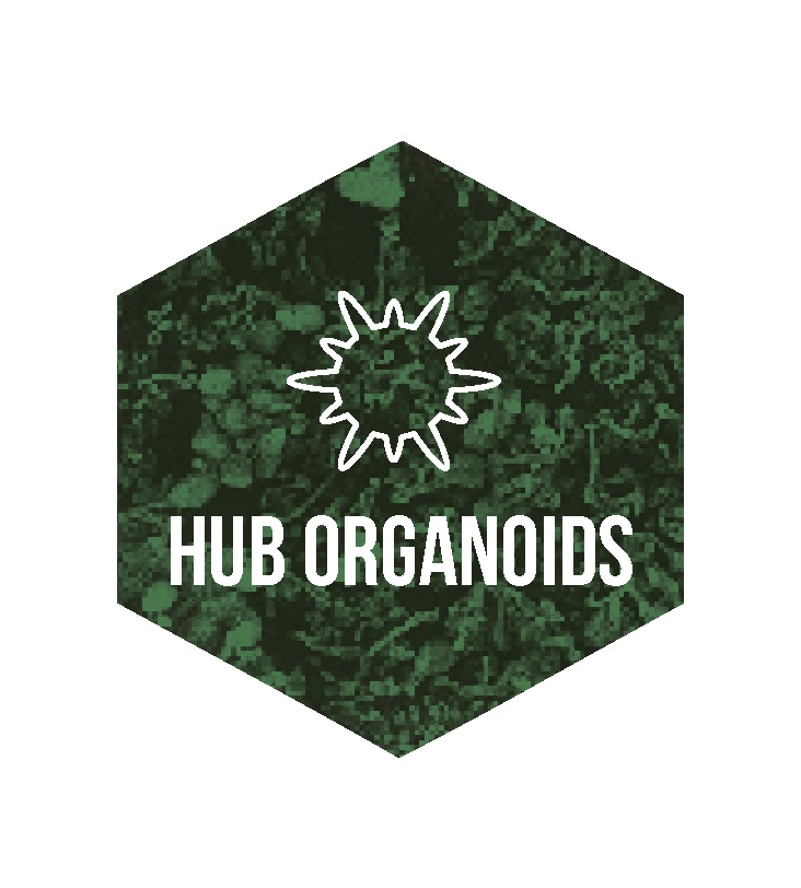 logo ORGANOIDES